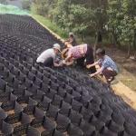 Green HDPE Geocell Geocelda For Road Reinforcement Best and Online Technical