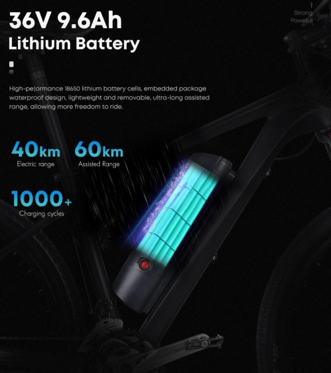 30 - 50Nm Torque Carbon Fibre Electric Mountain Bike With 250W Rear Hub Motor 27 Speed
