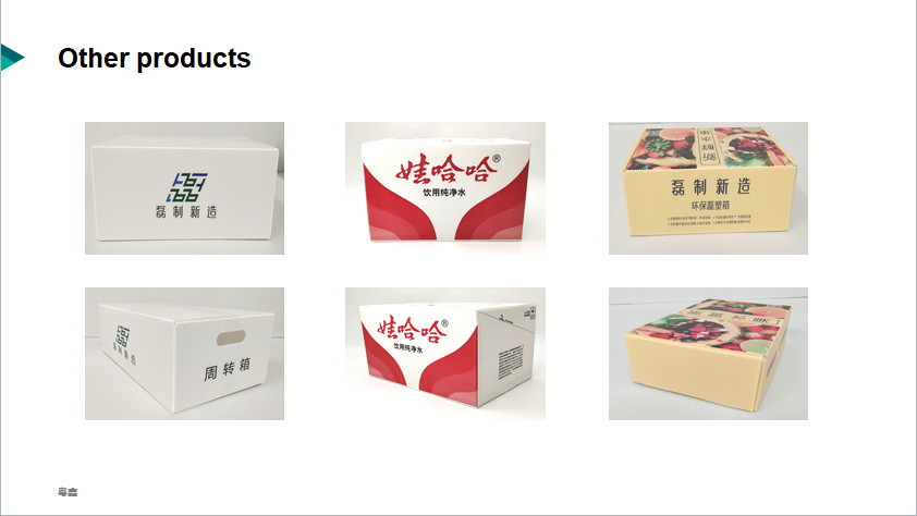 Mailing Corrugated Plastic Packaging Boxes Degradable OEM
