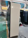 -22C 450L Commercial Freezers Upright Ice Cream Fridge Showcase
