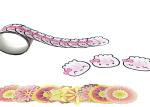 Multi Functional Adhesive Sticker Application Tape