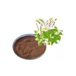 Forsythia Fructus Plant Extracted Powder NLT 100% Thru 80 Mesh