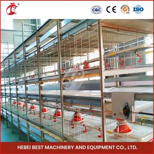 Quality Maximize Rearing Efficiency With Chicken Husbandry Cage System Cage Type A Rose wholesale