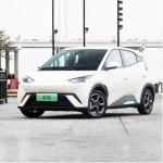 Electric Byd Seagull 2024 Electric Cars Hatchback The Blade Battery Byd EV Car
