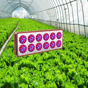 Quality High Power LED Grow Light,High Power LED Grow Lamps wholesale