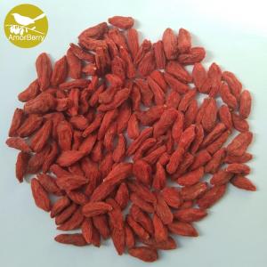Quality New arrival factory supply price sun dried wholesale Chinese medlar wholesale