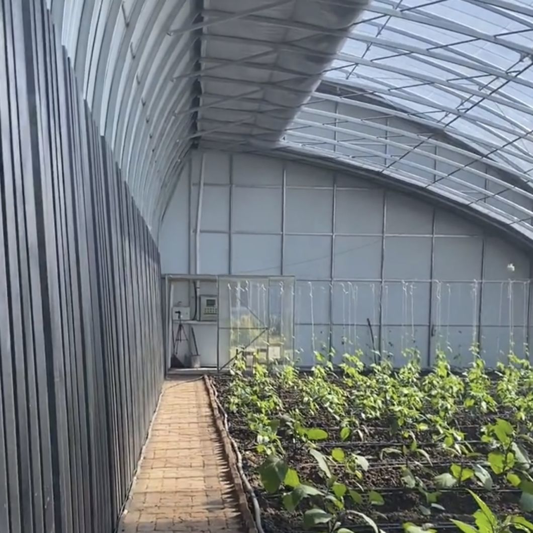 Sunlight Greenhouse Aquaculture Flower Planting Vegetable Production