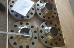 China ​FORGED ASME B16.5 DUPLEX STEEL INCOLOY 825 1/2-3 300# RF SOCKET WELDING FLANGE on sale