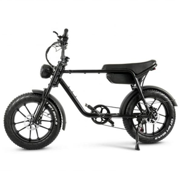 20 Inch Fat Tire Electric Bike 750 Watt Superb 73 Hot Aluminum Alloy Frame 48V