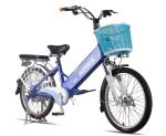 2 Seats Hybrid Electric Bikes 125Kg Power Assisted Bicycle With Battery Power
