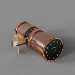 F5 TTLock Smart Fingerprint Door Locks