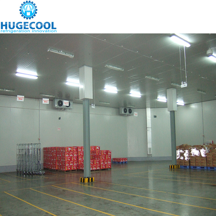 Customized refrigerated storage products freezer chamber