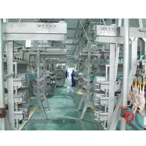 Semi Auto Chicken Feather Plucking Equipment Slaughterhouse Poultry Plucking