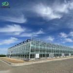 Customization Juxiang Greenhouse's Customizable Commercial Film and Glass