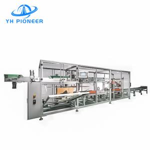 Quality Stainless Steel Bag Carton Packer Machine , Bag Case Packer 5-20cases/Min wholesale