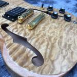 Custom F Hole SG Electric Guitar Mahogany Body Neck