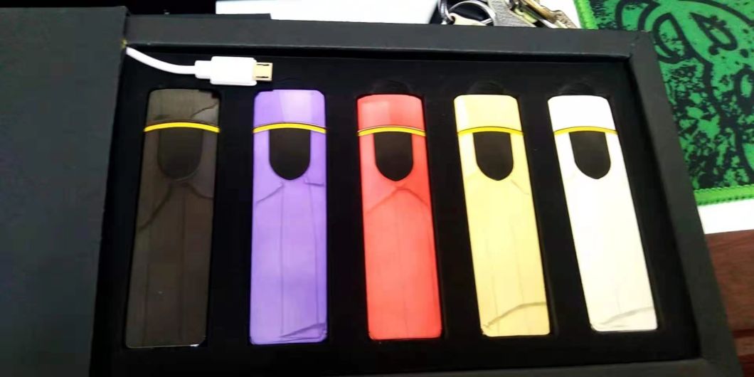Factory Wholesale Fashion New Rechargeable Electronic USB Windproof Cigarette Lighter