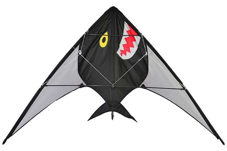 Variability of the diamond stunt kite fish sharp style with beach