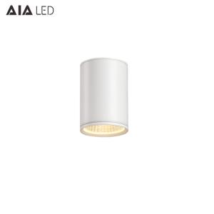 Quality 10W outdoor led downlight&amp;ip65 downlight&amp;led downlight ip65 for exterior used wholesale