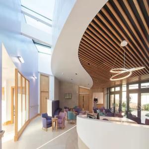 Quality Suspended Metal Acoustic False Ceiling For Office Decoration Interior wholesale