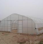 Polycarbonate Greenhouse For Sale Single Span Greenhouse Gothic