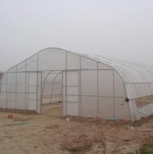 Quality Hot Sale High Tunnel Plastic Single Span Greenhouse Agriculture For Vegetable Farm wholesale