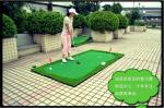 Indoor Mini Golf Set
