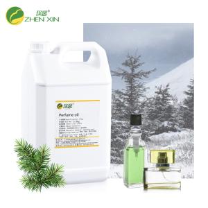Quality Female Perfume For Women Good Quality Oil Perfume Woody Fragrance wholesale