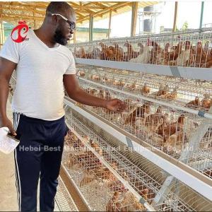 Quality Automatic Battery Layer Cage , Poultry Farming Cage Nigeria Lagos Sandy wholesale
