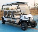 Electric Golf Cart New Style 60V100Ah Lead Acid Battery Novel Design High End
