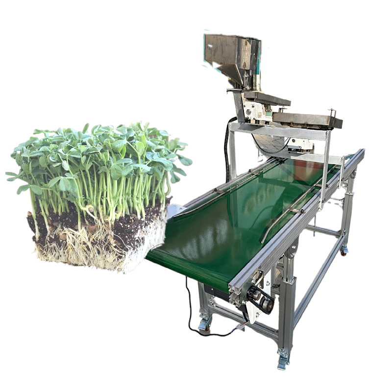 200-hole Precision Vegetable Seed Planter for Tomato Seed Planting in 600*700*800mm Tray