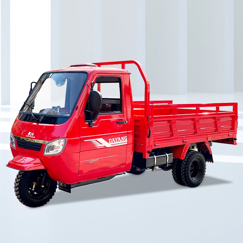 1 Passenger DAYANG Enclosed Cabin Cargo Tricycle with 200CC 250CC 300CC 350CC 3 Wheels