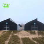 Single-Span Agricultural Greenhouses for Commercial Stable Structure Easily