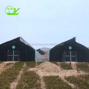 Quality Single-Span Agricultural Greenhouses for Commercial Stable Structure Easily Assembled wholesale