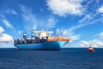 Global International Sea Container Shipping Sea Freight Carriers