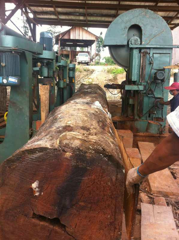 MJ3210 Vertical CNC Bandsaw ,Saw Machine for Wood,Vertical Cutting Bandsaw with Carriage