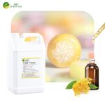 Food Grade Concentrated Liquid Additives Food Flavor Oil Essence For Candy