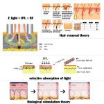 Permanent Radio Frequency Skin Tightening Machine , Skin Rejuvenation Machine