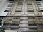 AISI SS304 316 316L Stainless Steel Ladder Belt for Conveyor/High temperature