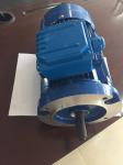 15kw 600V 1800rpm NEMA Standard Motor 60Hz TEFC AC Electric Motor