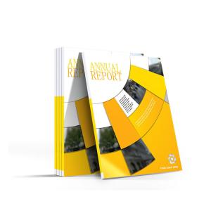 Quality Magazine Full Color Z Fold Leaflet , 14-22 Point A3 Flyer Printing wholesale