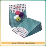 customize colorful paper bag used for high grade cosmetic products