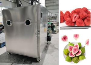 Quality Electric Heating Vegetable Lyophilizer Food Freeze Dryer Machine wholesale
