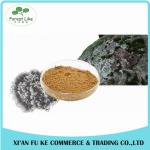Reliable Supplier Best Discout for Red Clover Extract