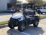 Adult Single Cylinder 4 Stroke SOHC 200CC Golf Utv