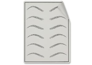 Quality Lushcolor Private Label Practice Skin For Starter Semi Permanet Makeup / Tattoo Begainner wholesale