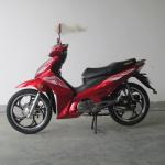 7500RPM CDI Ignition TR135-NF 135CC Cub Motorcycle