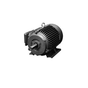 Quality Crane Lifting Frame Cast Iron Electric Motor 100KW wholesale