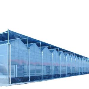 Quality Main Structure Hot Galvanizing Aluminum Steel Prefabric Green House for Tomato Growing wholesale