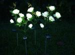Solar three heads rose lights Ground decoration lawn lamp